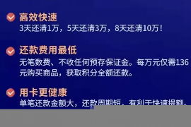 枝江枝江的要账公司在催收过程中的策略和技巧有哪些？